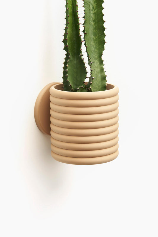 The Poppy with Sliding Dovetail